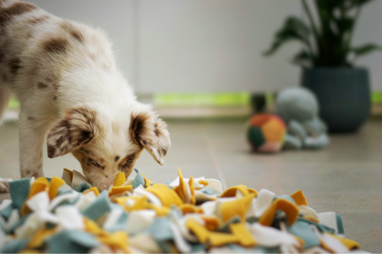 Dog enrichment toys puzzle feeder snuffle mat Kong toy