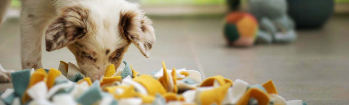 dog using snuffle mat
