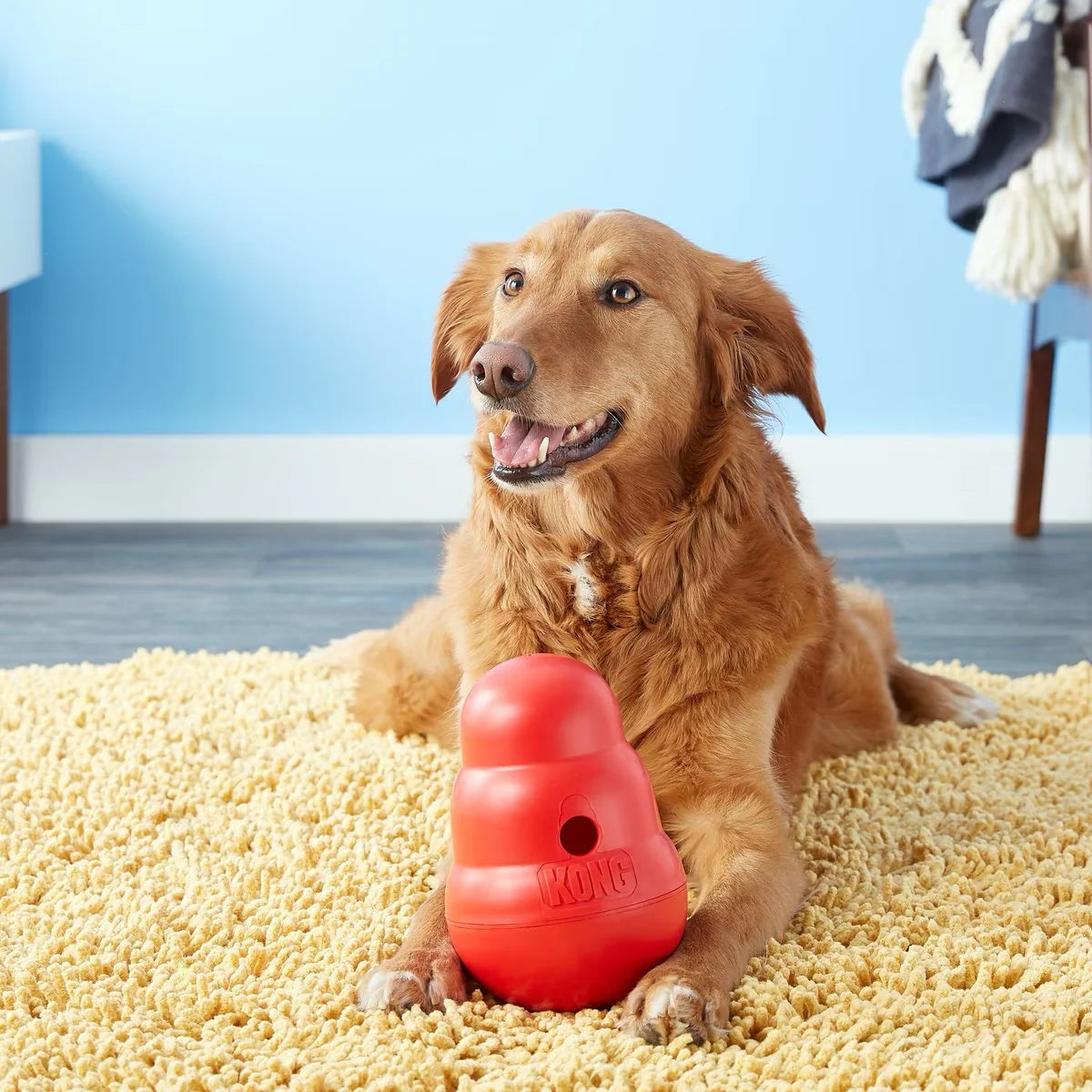 Golden retriever with Kong Wobbler interactive dog toy